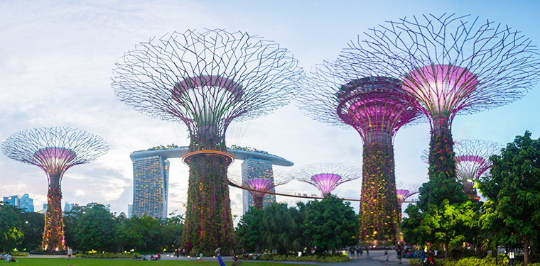 singapore supertrees