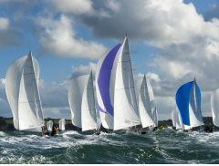 Regatta