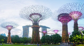 singapore supertrees