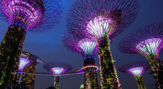 Marina bay supertrees night