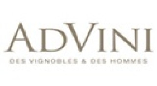 ADVINI