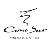 VINA CONO SUR S.A.